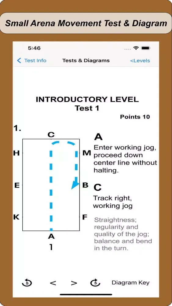 2017 WDAA Dressage Tests スクリーンショット
